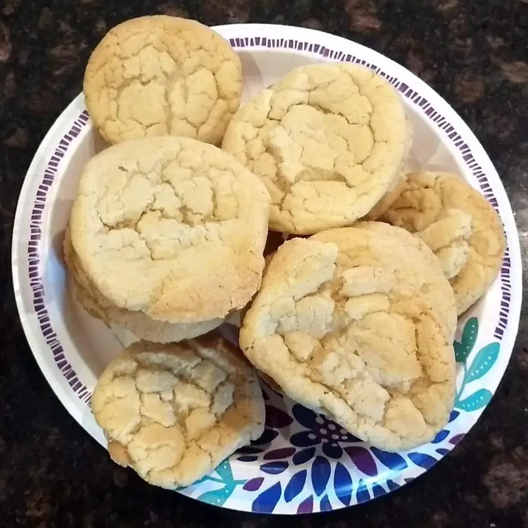 cookies uden chokolade